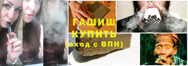 шишки Мегион