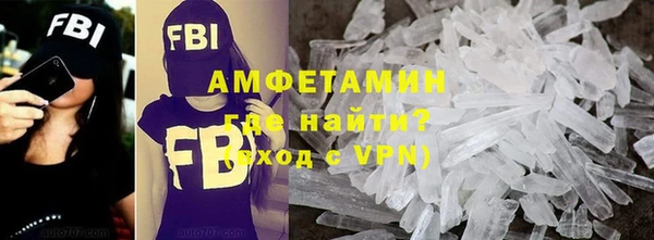шишки Мегион