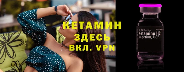 шишки Мегион
