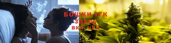 шишки Мегион