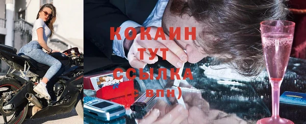 шишки Мегион