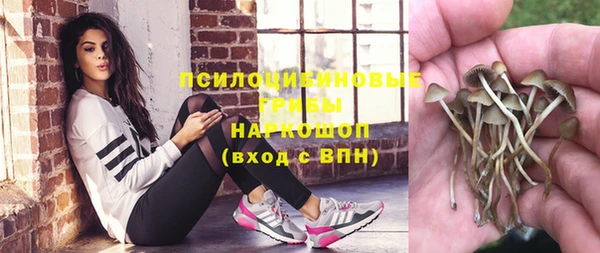 эйфоретик Медвежьегорск