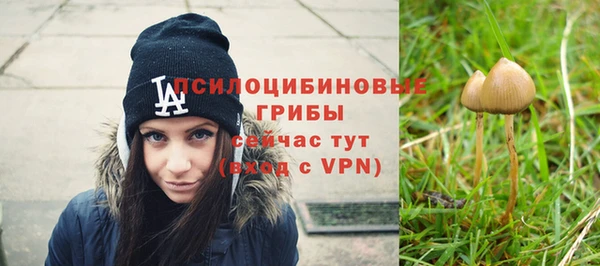 шишки Мегион