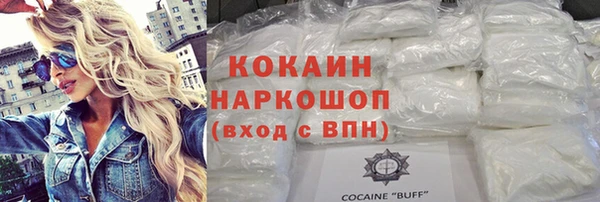 шишки Мегион