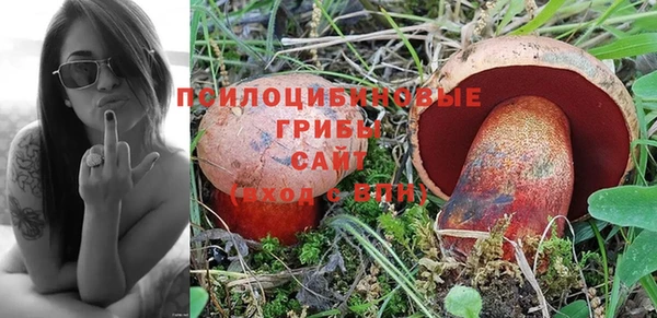 эйфоретик Медвежьегорск